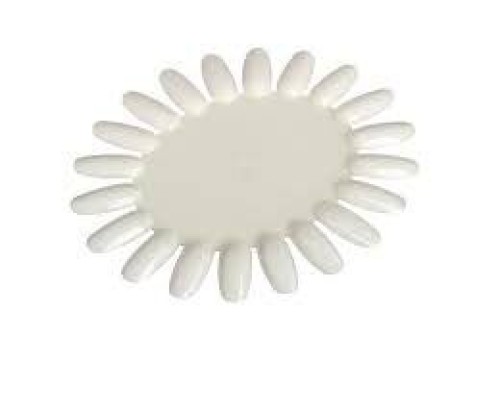 Палітра Ромашка овальна матова (20тіпс)