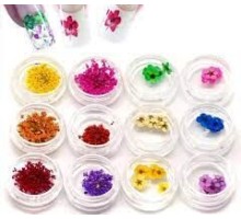 Сухоцвіт для дизайну (банка,колір в асортименті)