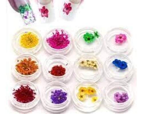 Сухоцвіт для дизайну (банка,колір в асортименті)