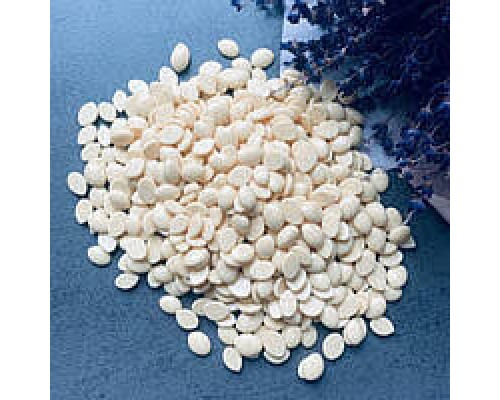 ItalWax Віск у гранулах Білий шоколад (бразильський) класичний, 100г