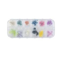 Сухоцвіт для дизайну (контейнер,мікс кольорів)