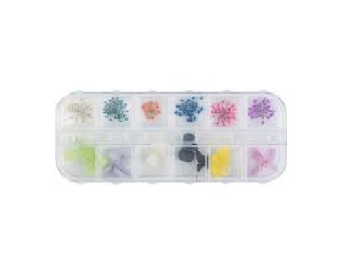 Сухоцвіт для дизайну (контейнер,мікс кольорів)