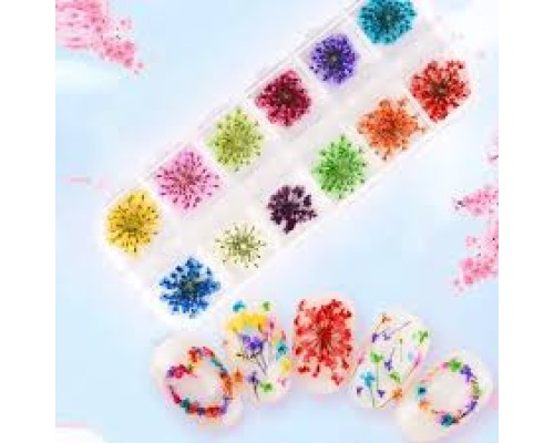 Сухоцвіт для дизайну (контейнер,мікс кольорів)